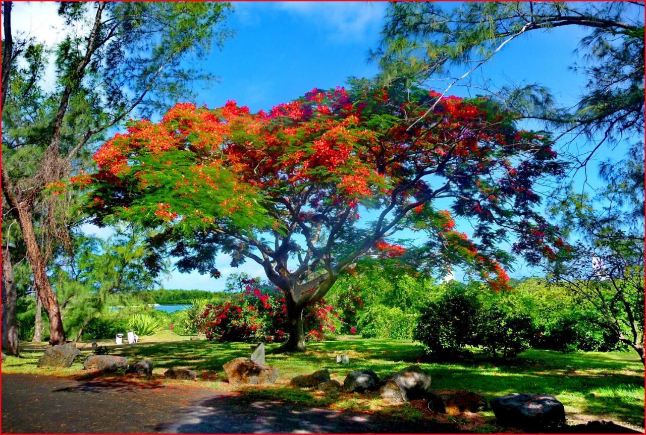 Sea-Lily Beach Villa Belle Mare Luaran gambar